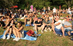 Chillen am Weinberg: In der Steillage war kaum noch ein Sitzplatz frei.