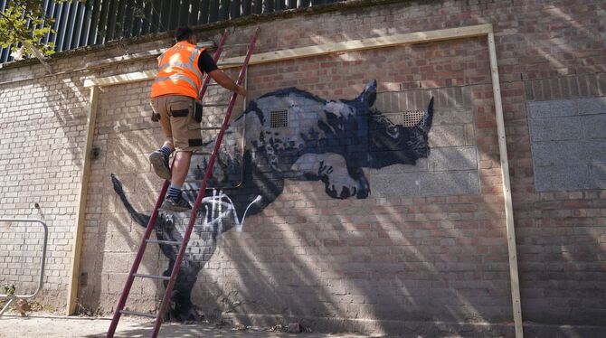 Banksys Nashorn von Vandalen beschmiert