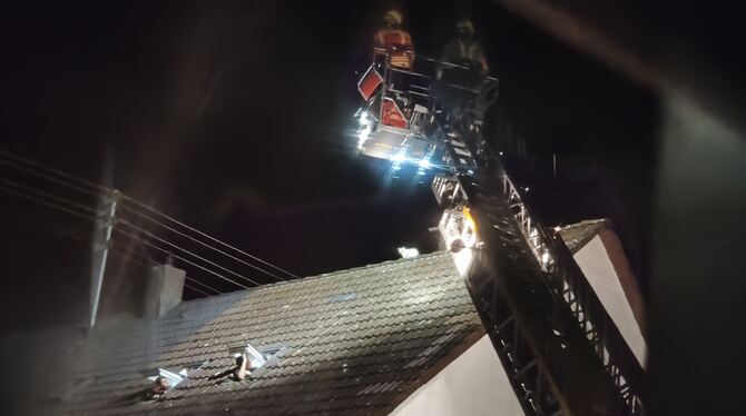 Die Uracher Feuerwehr hat in der Nacht von Montag auf Dienstag mit der Drehleiter eine Katze von einem Hausdach gerettet.