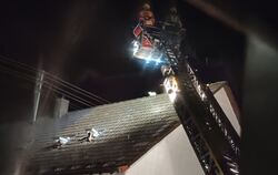 Die Uracher Feuerwehr hat in der Nacht von Montag auf Dienstag mit der Drehleiter eine Katze von einem Hausdach gerettet. 