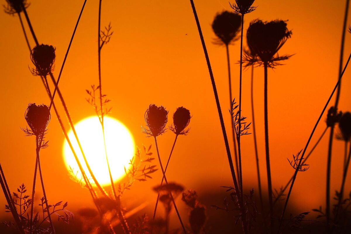 Sonnenaufgang in Oberschwaben