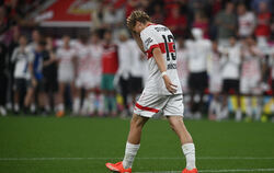 Bayer_Leverkusen_VfB_83189319