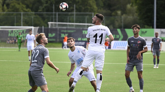 Doppeltorschütze Ante Galic setzt sich gegen David Bachhofer (TSV Berg) durch. Das freut Young-Boys-Mitspieler Albert Silov (hin