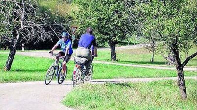 Touristisch interessant: Letzte Lücken im Radwegenetz des Landkreises Reutlingen werden jetzt geschlossen.
GEA-FOTO: SCHÜRER