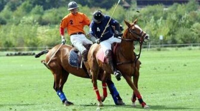 Polo - ein rasantes Spiel, bei dem die Bälle bis zu 160 km/h schnell werden können.
FOTO: REISNER