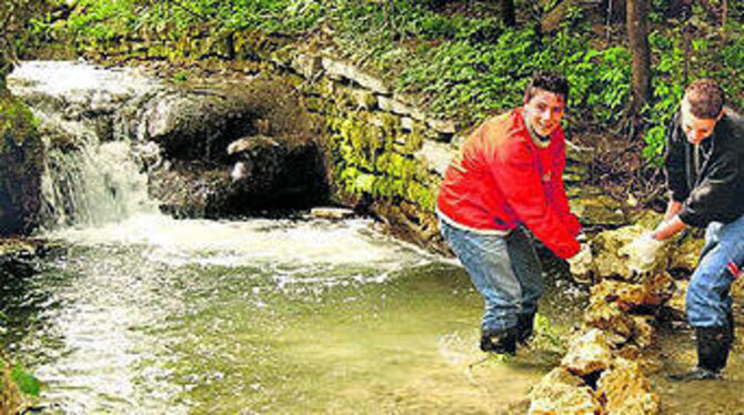 Weite Strecken der Wiesaz sind schon renaturiert, auch Schüler haben geholfen. Jetzt ist das Flussbett unterhalb des Seniorenzentrums an der Reihe.
FOTO: ARCHIV/NIETHAMMER