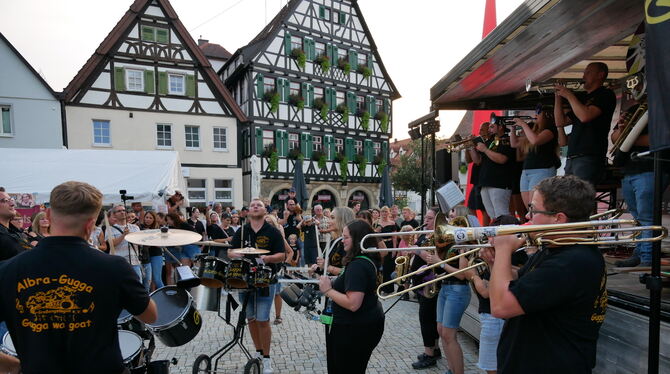 Viel gute Stimmung und heiße Musik gab es am Samstag auf dem Pfullinger Marktplatz bei der »Langen Nacht der Narren« von Mottles