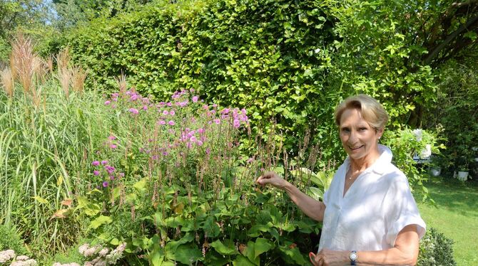 Iris Braun zeigt den derzeit blühenden Kerzenknöterich in Rosa. FOTO: STRAUB