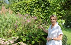 Iris Braun zeigt den derzeit blühenden Kerzenknöterich in Rosa. FOTO: STRAUB   