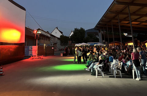 Which films are shown at the Metzinger Open-Air Cinema – Neckar + Erms – Reutlinger General-Anzeiger