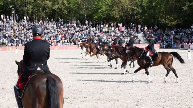 Die Marbacher Dressurquadrille wird gemeinsam mit den Lipizzanerhengsten aus Lipica vorgeführt.  FOTO: KUBE/HAUPT- UND LANDGESTÜ