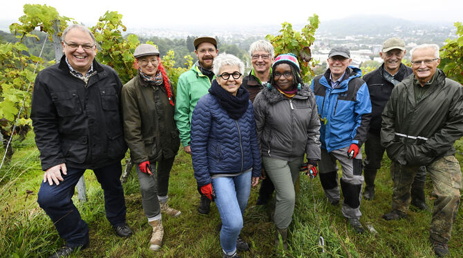 Schöne Abwechslung zum Büroalltag: Mitarbeiter der Stadtverwaltung und Mitglieder des Gemeinderats bei der Ernte.