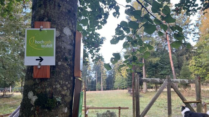 Hier gibt es etwas zu sehen:  Das Wildgehege auf der Eninger Weide liegt am neuen Premiumwanderweg »hochgehteufelt«.