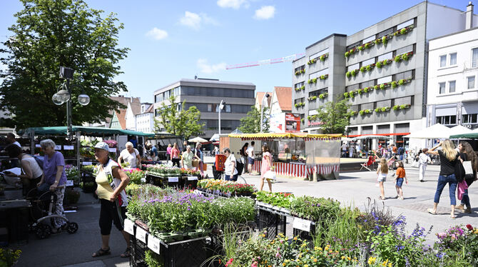 Der Reutlinger Marktplatz an einem sonnigen Augusttag. Stadt und Marktbeschicker sind sich einig: Mehr Schatten wäre wichtig und