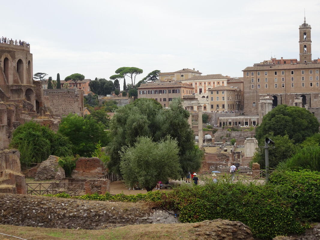 Forum Romanum