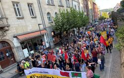 In Tübingen gehen nach wie vor viele Menschen für den Klimaschutz auf die Straße.  FOTO: RUNGE