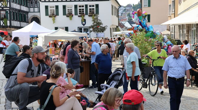 Sonntäglicher Bummel über den Kreativ- und Biosphärenmarkt durch die Innenstadt Pfullingens.