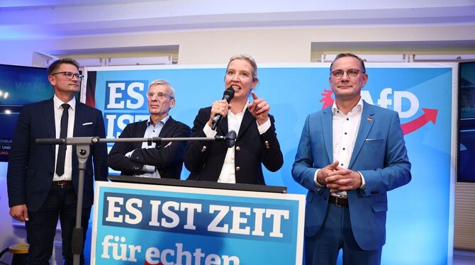 Landtagswahl in Brandenburg - Wahlparty AfD