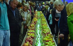 Besucherinnen und Besucher bestaunen bei einer vergangenen Obstsortenausstellung die vielen verschiedenen Apfelsorten.  FOTO: ME