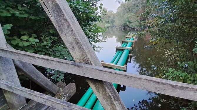 Die neuen Rohre im Markwasensee sorgten für Fragen bei GEA-Lesern.