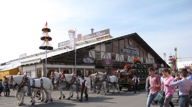 Nun müssen die Volksfestbesucher doch nicht auf die Bierkutschgäule verzichten.  FOTO: PRIVAT