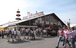 Nun müssen die Volksfestbesucher doch nicht auf die Bierkutschgäule verzichten.  FOTO: PRIVAT