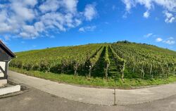 Die Metzinger Weinberge bieten Besuchern ein wunderschönes Panorama.