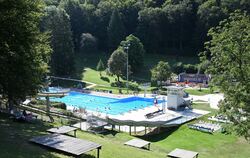 Ein idyllisches Örtchen: das Eninger Waldfreibad. Im vergangenen Jahr hatte der Betrieb mit einigem zu kämpfen.