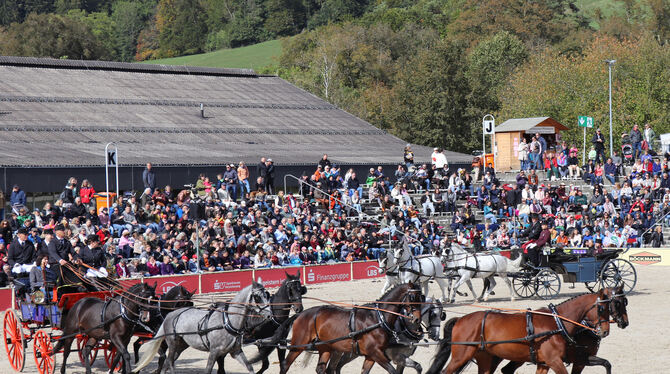 Eine achtspännige Kutsche fährt in die Marbacher Arena ein.