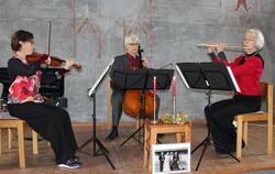 Das Musikertrio hatte zur Lesung die passende Musik ausgesucht.