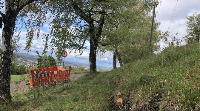 Die Rutschung ist im Hang rechts deutlich zu erkennen. Ebenso die Absperrbaken am darunter liegenden Fußweg.