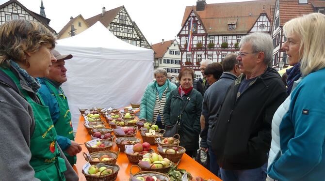 Gaby Kleih und Siegfried Streicher vom Obst- und Gartenbauverein informierten über Apfelsortenvielfalt und Schadbilder zur Erken