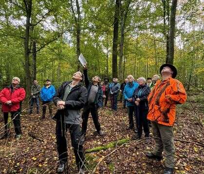 Der Blick geht nach oben, die Aussichten sind gut im Wannweiler Wald.  FOTO: RUOF