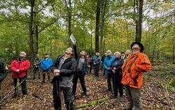 Der Blick geht nach oben, die Aussichten sind gut im Wannweiler Wald.  FOTO: RUOF