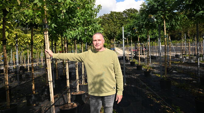 Bäume in Töpfen am Pfullinger Ortsausgang sind bald Geschichte: Thomas Gekeler schließt seinen Betrieb Ende Dezember. FOTO: SAUT