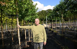 Bäume in Töpfen am Pfullinger Ortsausgang sind bald Geschichte: Thomas Gekeler schließt seinen Betrieb Ende Dezember. FOTO: SAUT