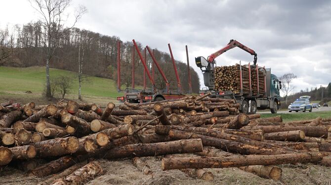 Der Holzlaster hatte wegen des riskanten Überholmanövers eines Pkw auf den Seitenstreifen ausweichen müssen, dabei war der voll