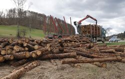 Der Holzlaster hatte wegen des riskanten Überholmanövers eines Pkw auf den Seitenstreifen ausweichen müssen, dabei war der voll 