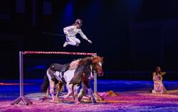 Ein kurzweiliges Programm wird beim Gala-Abend am Samstag im Landgestüt Marbach geboten.  FOTO: PR