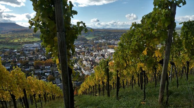 Auch in Metzingen wird Wohnraum dringend gesucht - Caritas und Kirchengemeinde stehen gemeinsam hinter dem Projekt »TürÖffner«.