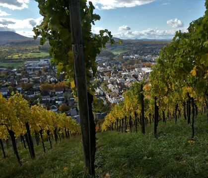 Auch in Metzingen wird Wohnraum dringend gesucht - Caritas und Kirchengemeinde stehen gemeinsam hinter dem Projekt "TürÖffner".