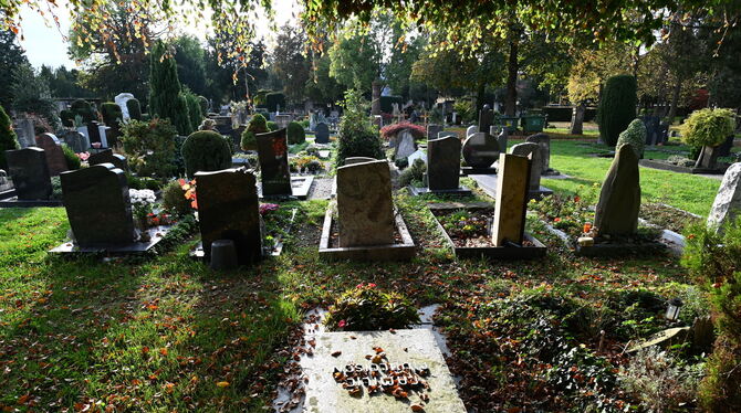 Der Friedhof Unter den Linden ist mehr als nur letzte Ruhestätte, sondern dient auch als Oase der Ruhe und Besinnung.