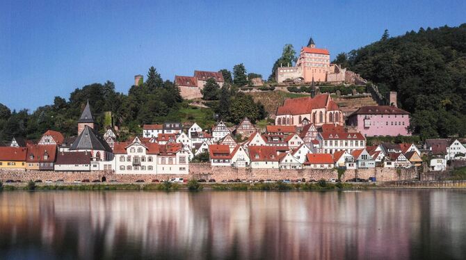 Blick vom östlichen Neckarufer auf den historischen Ortskern von Hirschhorn (Hessen).  FOTO: SEBASTIAN WENZEL