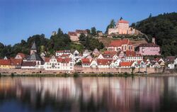 Blick vom östlichen Neckarufer auf den historischen Ortskern von Hirschhorn (Hessen).  FOTO: SEBASTIAN WENZEL