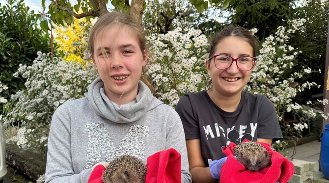 Jeden Mittwoch kommen Klara und Marie in die Igel-station in Riederich, um zu helfen. FOTO: ECKELT