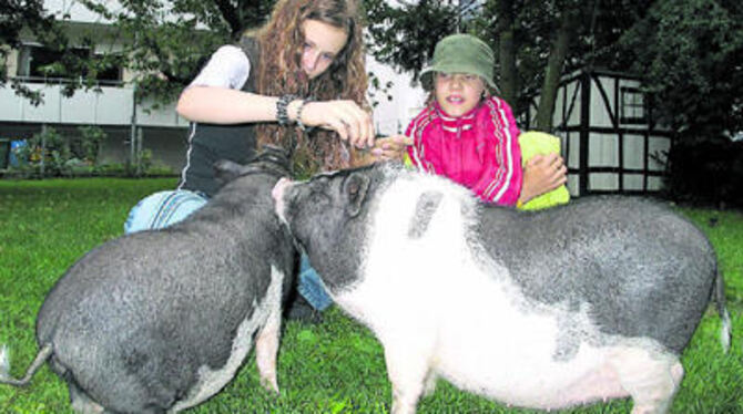 Bei den Schweinen schaut jeder gern hin: Hannelore (links) und Maria sind ganz schön stolz auf ihre knautschigen Minis.
GEA-FOTO: US