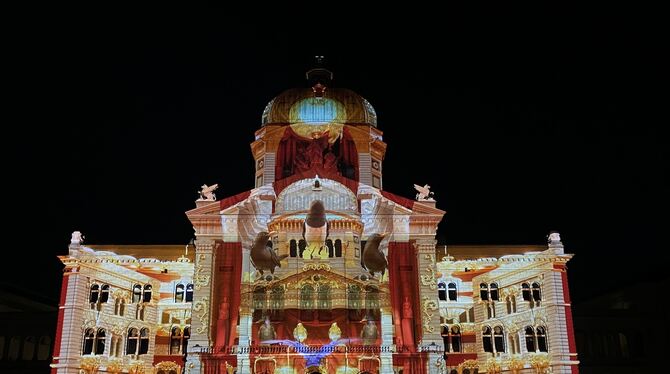 In diesem Jahr spielt die heimische Vogelwelt der Schweiz die Hauptrolle beim Lichtspektakel.  FOTO: PRIMCOM