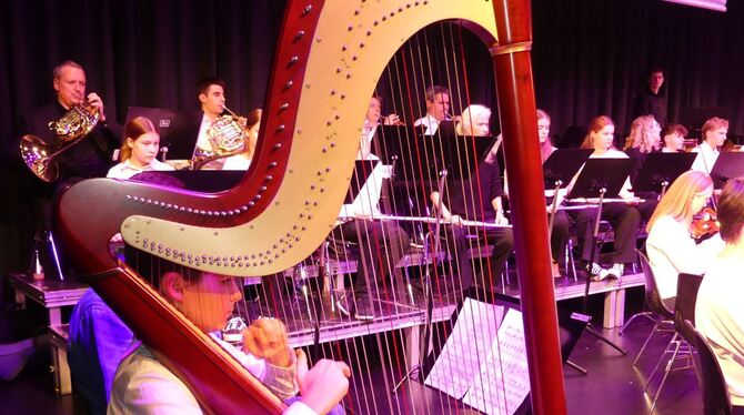 Premiere an der Harfe für Emil Bibas beim Jahreskonzert der Musikschule Metzingen. FOTO: SANDER