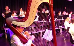 Premiere an der Harfe für Emil Bibas beim Jahreskonzert der Musikschule Metzingen. FOTO: SANDER