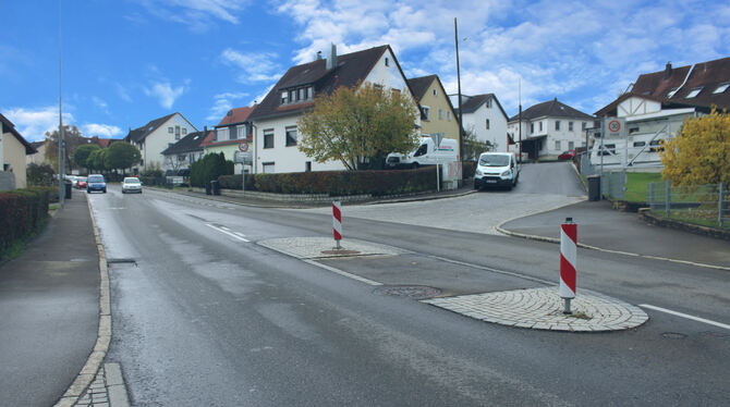 Von der Kanalsanierung betroffen ist auch die Reichenbachstraße.